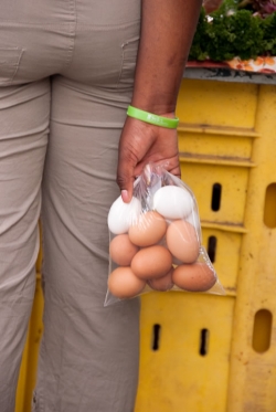 Eggs in Dominica